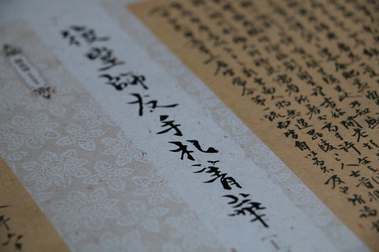 Simplified vs. Traditional Chinese: Differences and uses of these two scripts.
