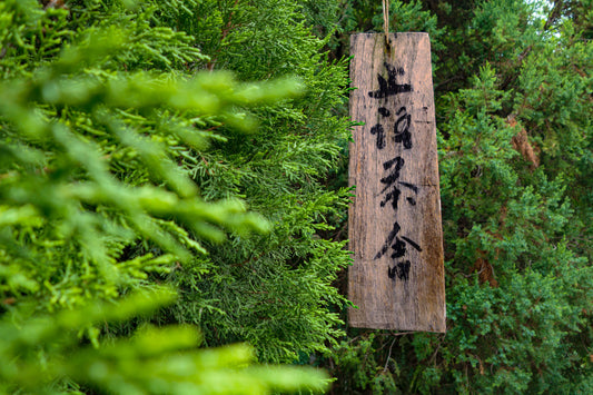 Chinese characters