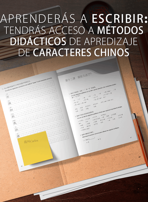 NUEVA Didáctica de la lengua china 1 (Textbook + Workbook)